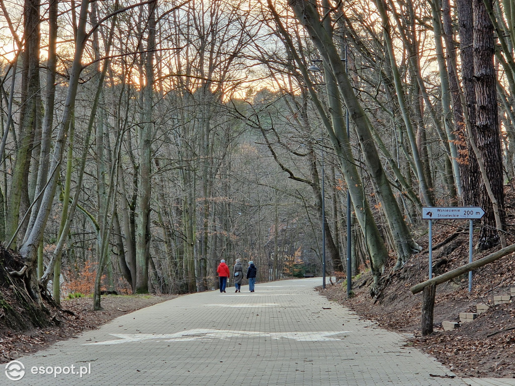 Sopot dla ciała i ducha! Odkryj nowy Leśny Szlak Kuracyjny [FOTO]