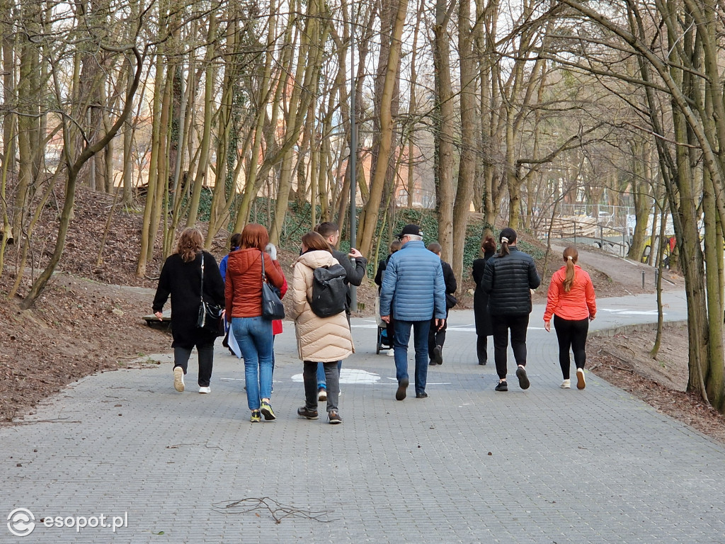 Sopot dla ciała i ducha! Odkryj nowy Leśny Szlak Kuracyjny [FOTO]