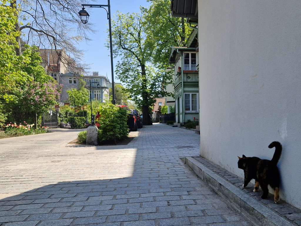 Sopocki woonerf ma już prawie dwa lata! Zobacz, jak się zmienił [FOTO]