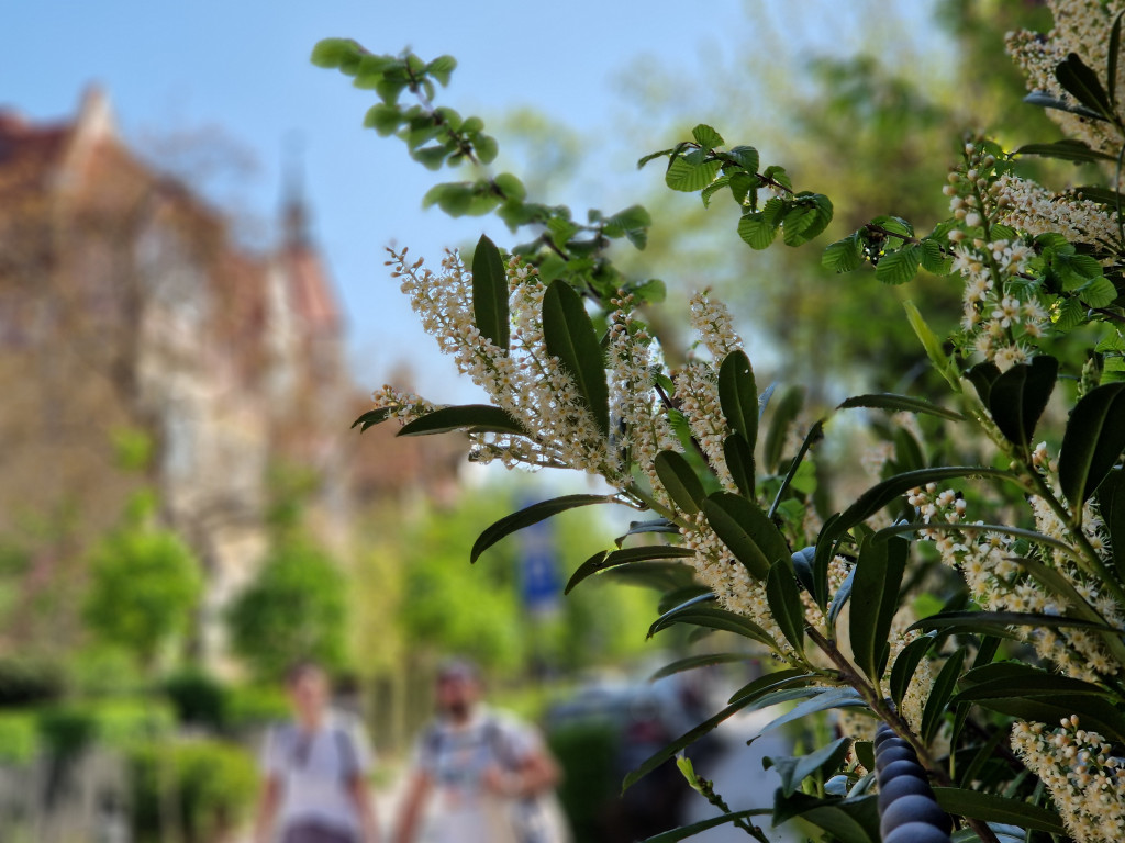 Sopocki woonerf ma już prawie dwa lata! Zobacz, jak się zmienił [FOTO]