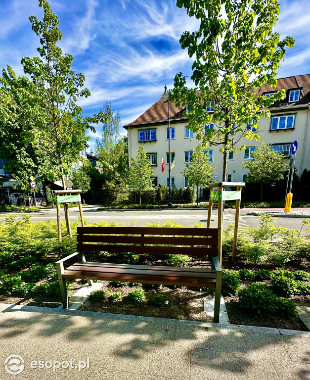 Sopot: 3 Maja rok po przebudowie! Ulica pięknieje w oczach