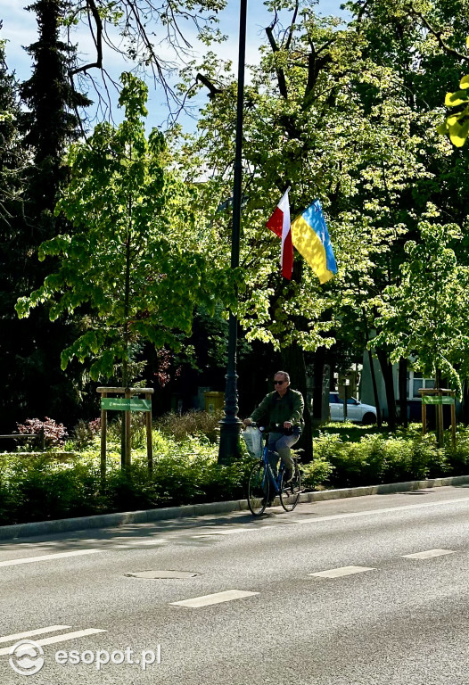 Sopot: 3 Maja rok po przebudowie! Ulica pięknieje w oczach