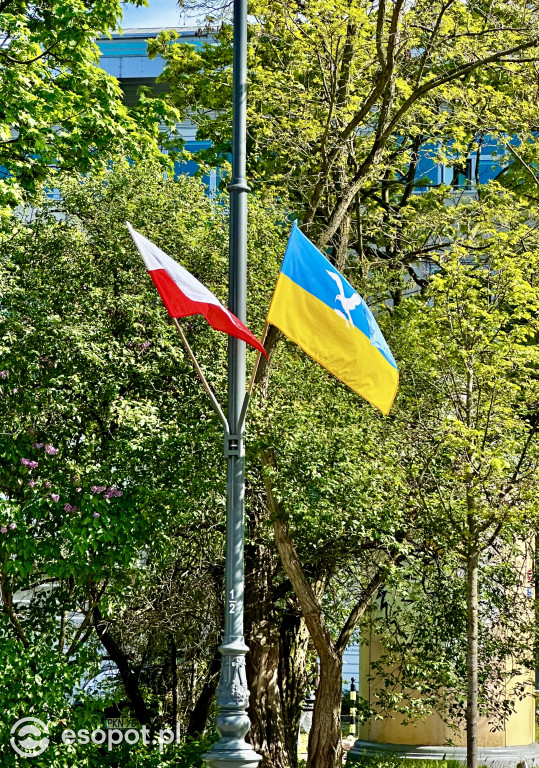 Sopot: 3 Maja rok po przebudowie! Ulica pięknieje w oczach