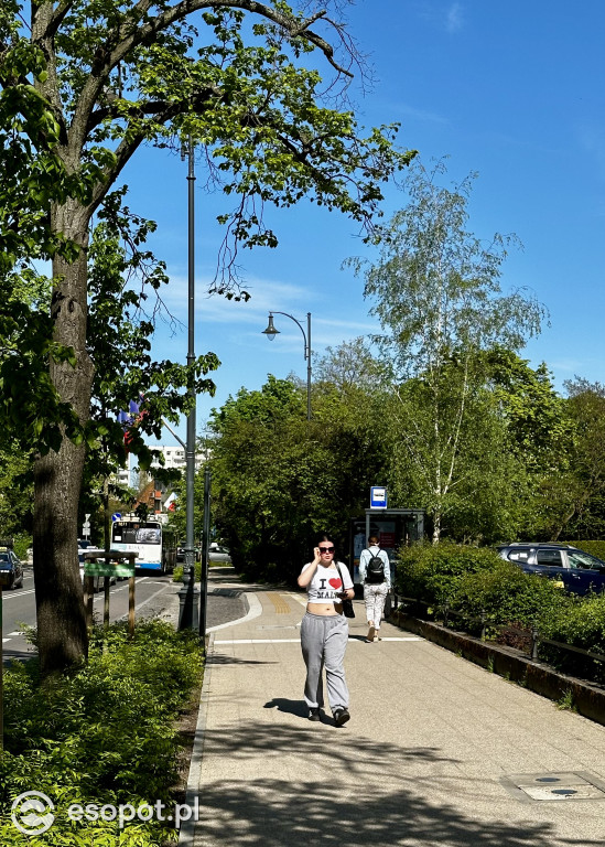Sopot: 3 Maja rok po przebudowie! Ulica pięknieje w oczach
