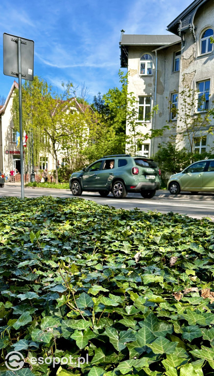 Sopot: 3 Maja rok po przebudowie! Ulica pięknieje w oczach