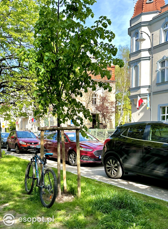 Sopot: 3 Maja rok po przebudowie! Ulica pięknieje w oczach