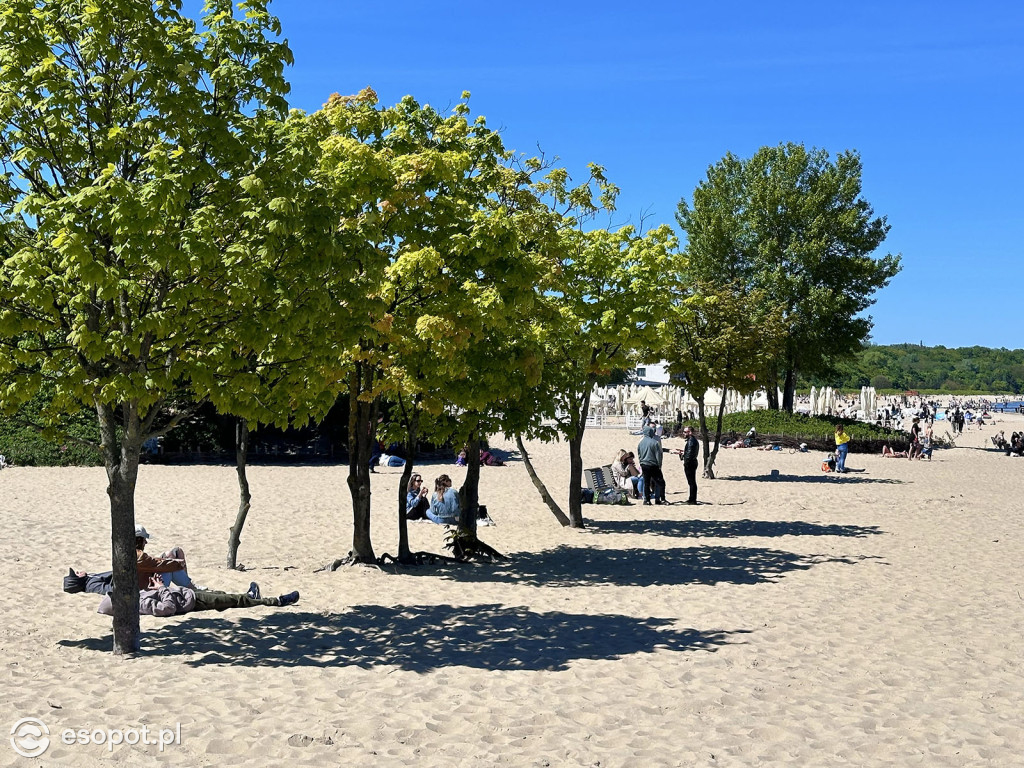 Zachwycający Sopot na zdjęciach! Kurort nie zawodzi [FOTO]