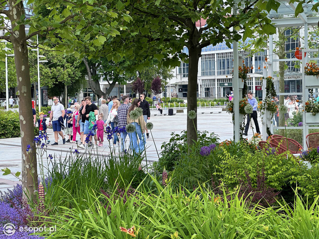 Zaskakująco spokojny Sopot na zdjęciach! Za nami ostatni weekend maja [FOTO]