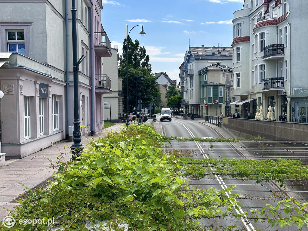 Zaskakująco spokojny Sopot na zdjęciach! Za nami ostatni weekend maja [FOTO]