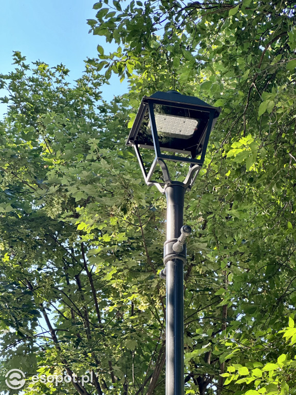 Sopot pięknieje! W centrum pojawił się nowy woonerf [FOTO]