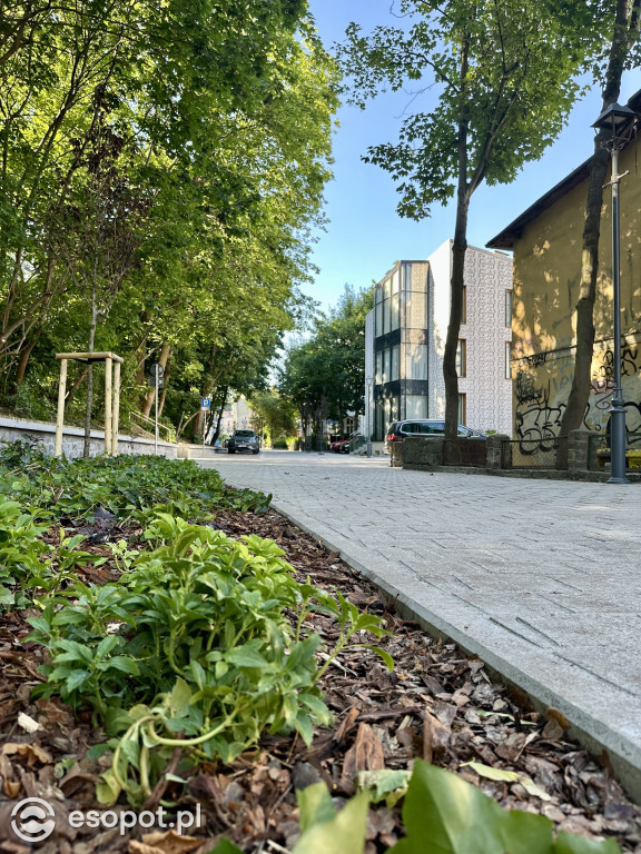 Sopot pięknieje! W centrum pojawił się nowy woonerf [FOTO]