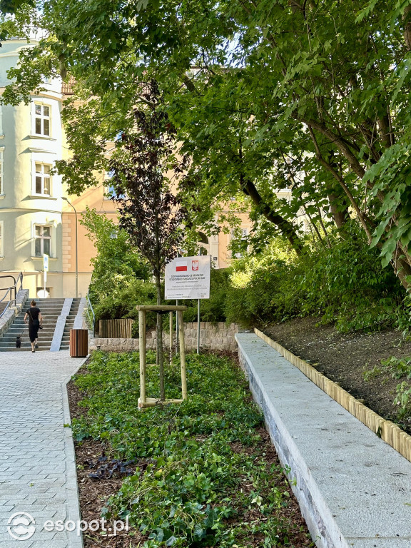 Sopot pięknieje! W centrum pojawił się nowy woonerf [FOTO]