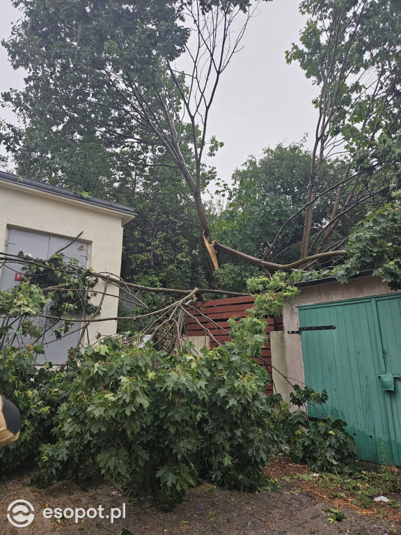 Sopot po burzy! Zobacz skutki żywiołu na zdjęciach [FOTO]