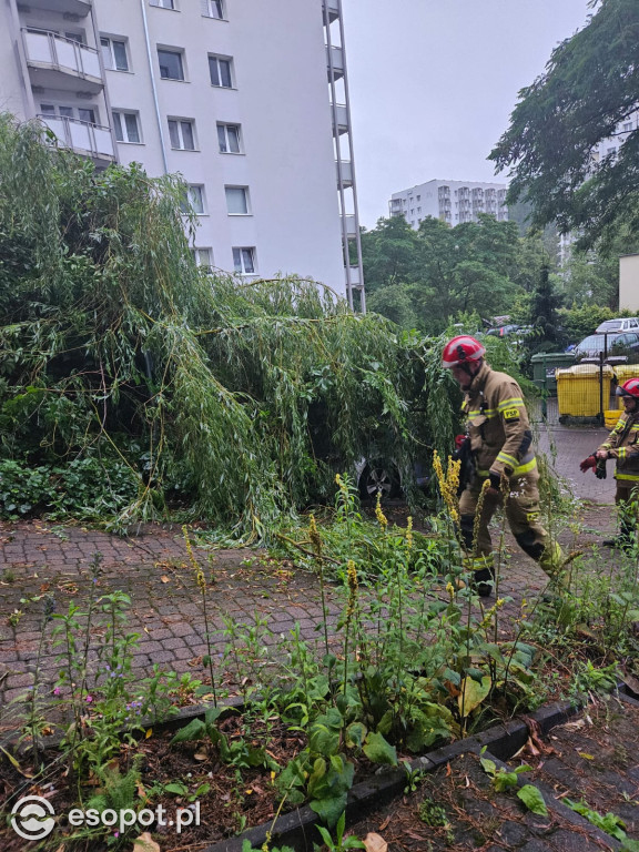 Sopot po burzy! Zobacz skutki żywiołu na zdjęciach [FOTO]