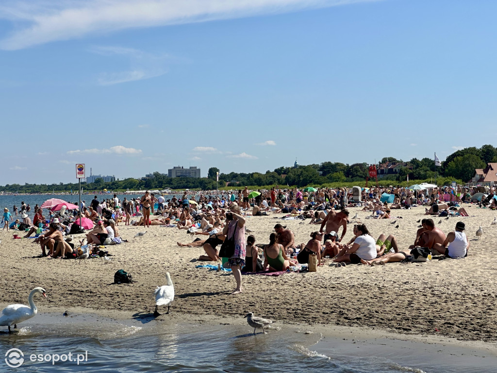 Plaża pękała w szwach! Gorące lato w Sopocie