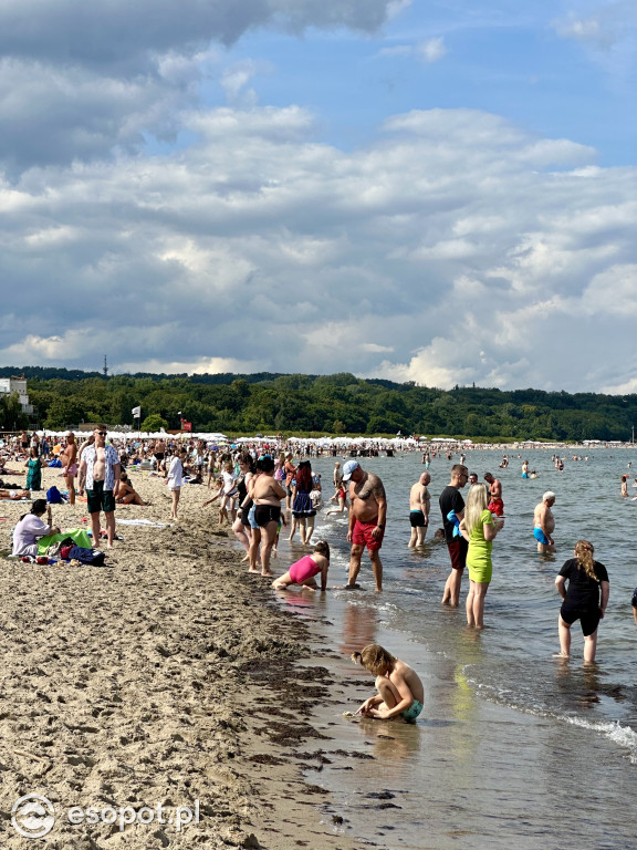 Sopot tętni życiem! Tak wyglądał pierwszy weekend sierpnia