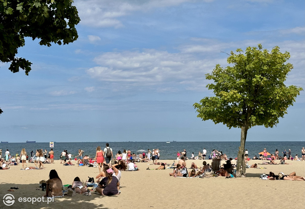Sopot tętni życiem! Tak wyglądał pierwszy weekend sierpnia