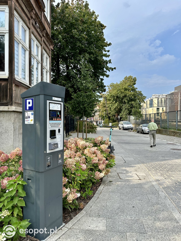 Kolejny sopocki woonerf ma ponad rok! Jak wpasował się w miasto? [FOTO]