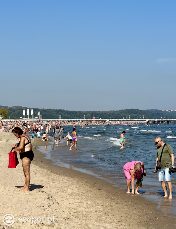 Plaża w Sopocie pękała w szwach! Zobacz wrześniowe tłumy na zdjęciach! [FOTO]