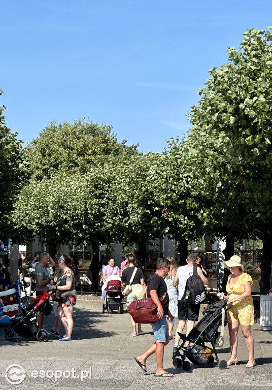 Wyjątkowy Sopot na zdjęciach! Turyści opanowują kurort nawet po wakacjach [FOTO]