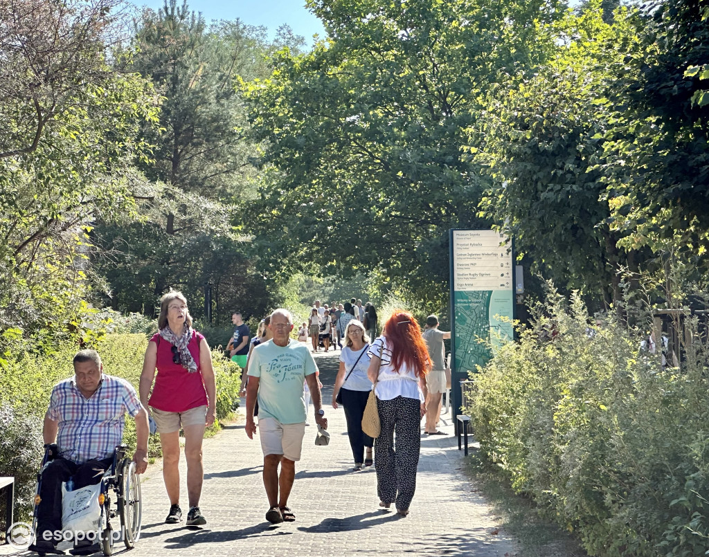 Wyjątkowy Sopot na zdjęciach! Turyści opanowują kurort nawet po wakacjach [FOTO]