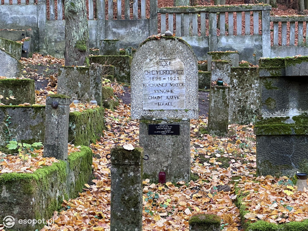 Zobacz cmentarz żydowski w Sopocie! To niezwykłe miejsce refleksji i zadumy [FOTO]