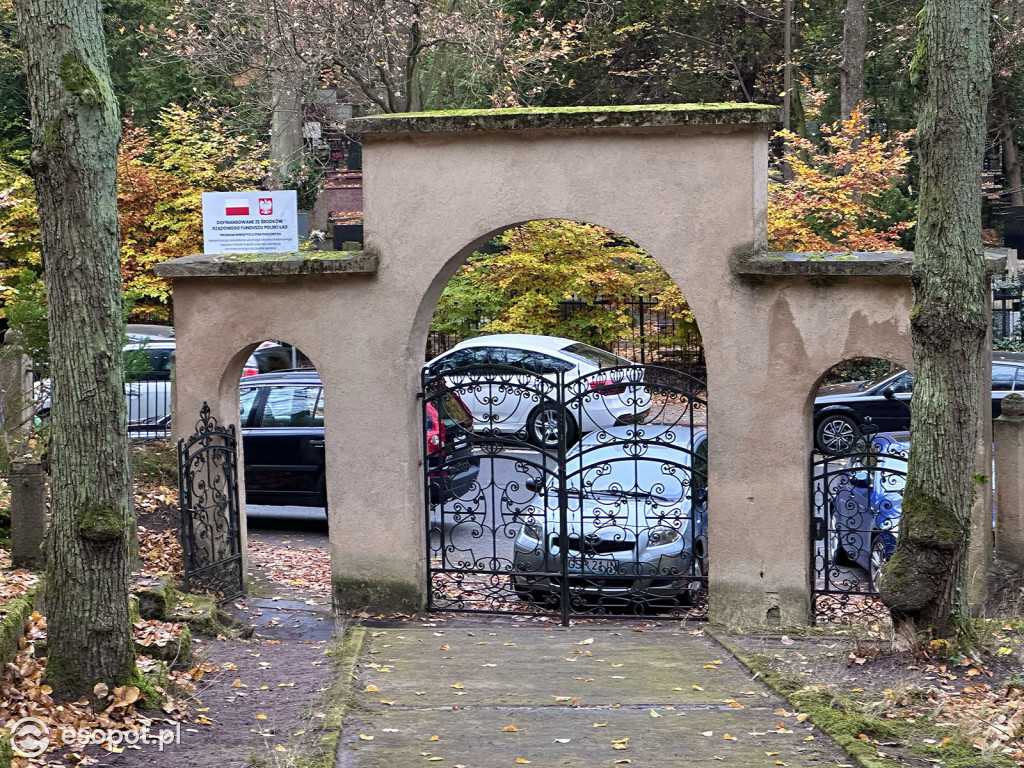 Zobacz cmentarz żydowski w Sopocie! To niezwykłe miejsce refleksji i zadumy [FOTO]