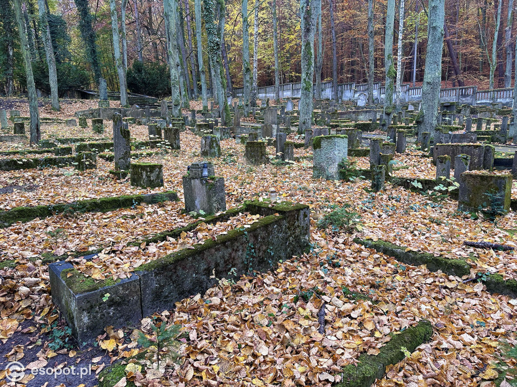 Zobacz cmentarz żydowski w Sopocie! To niezwykłe miejsce refleksji i zadumy [FOTO]