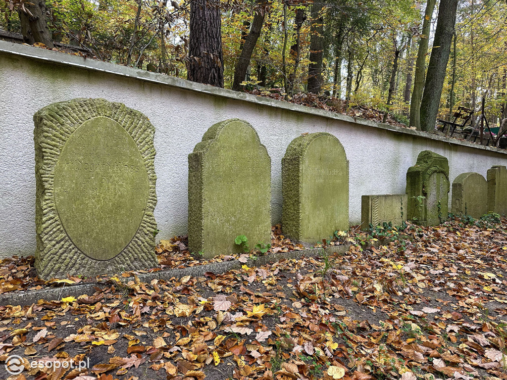 Odkrywamy wnętrza grobowca Herbstów w Sopocie! Co skrywa tajemnicza kaplica? [FOTO]