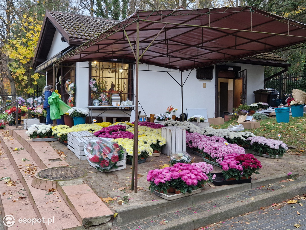 Wszystkich Świętych w Sopocie. Kurort w listopadowej zadumie [FOTO]