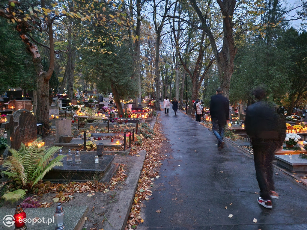 Wszystkich Świętych w Sopocie. Kurort w listopadowej zadumie [FOTO]