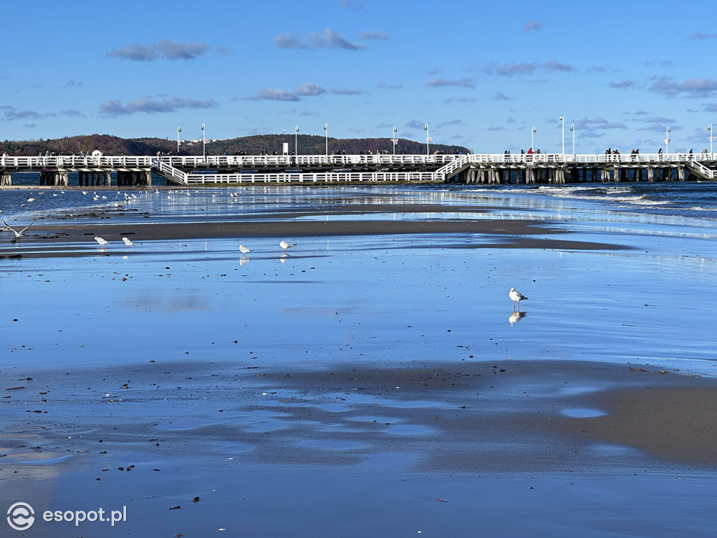 Jesienny Sopot zachwyca na zdjęciach w pierwszy weekend listopada [FOTO]