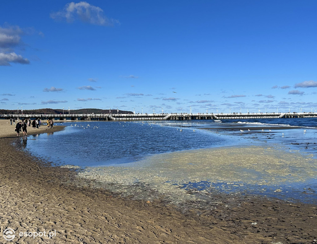 Jesienny Sopot zachwyca na zdjęciach w pierwszy weekend listopada [FOTO]