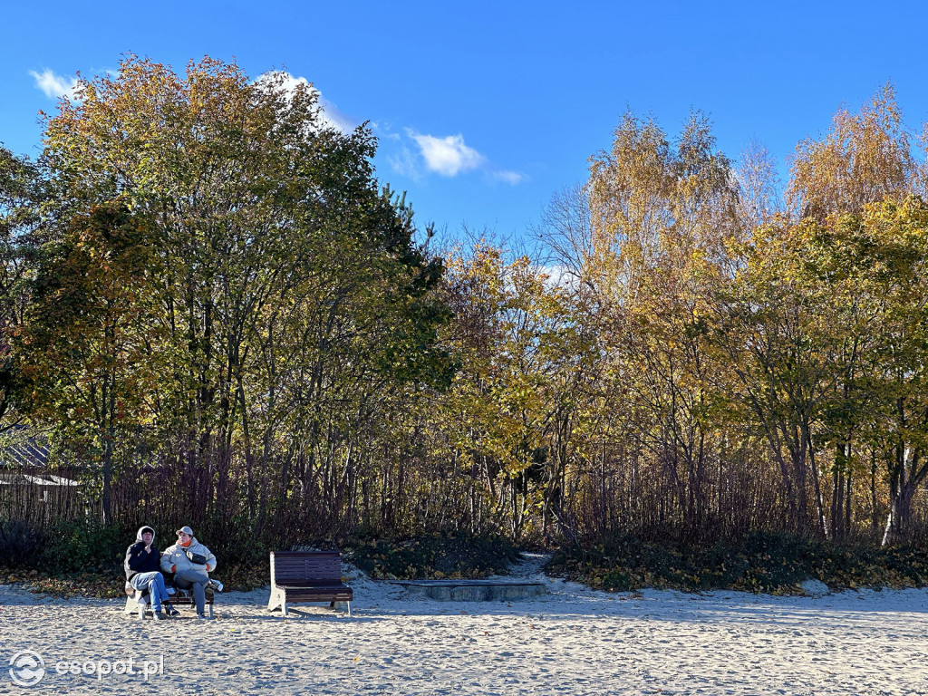 Jesienny Sopot zachwyca na zdjęciach w pierwszy weekend listopada [FOTO]