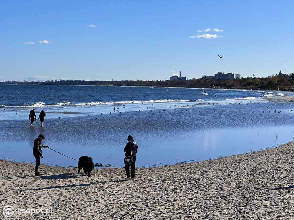 Jesienny Sopot zachwyca na zdjęciach w pierwszy weekend listopada [FOTO]