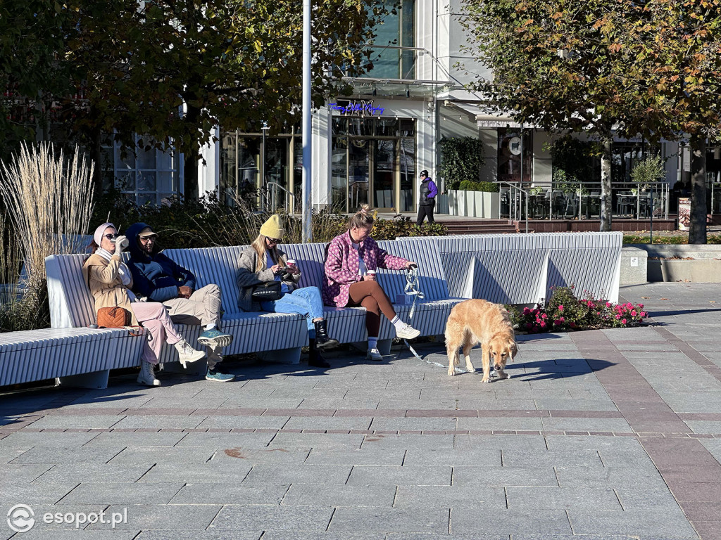 Jesienny Sopot zachwyca na zdjęciach w pierwszy weekend listopada [FOTO]