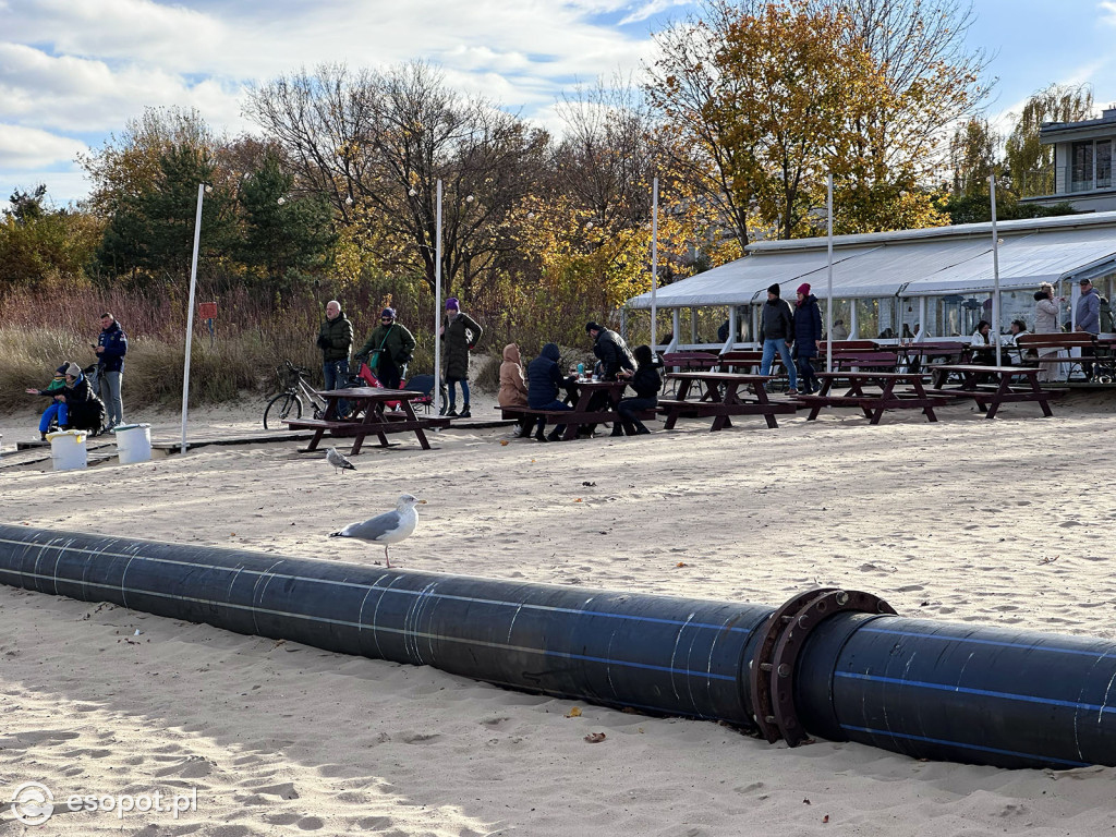 Trwa poszerzanie plaży w Sopocie! Olbrzymia rura przyciąga uwagę spacerowiczów [FOTO]