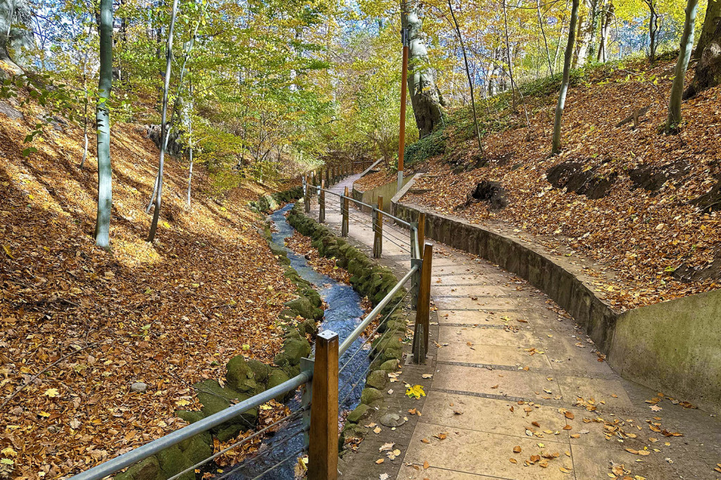 Romantyczny park i niezwykła historia – co skrywa Potok Elizy? [FOTO]