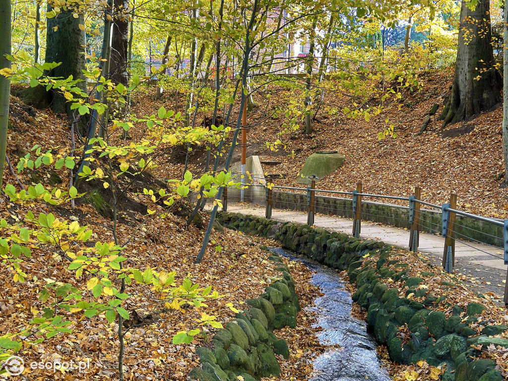 Romantyczny park i niezwykła historia – co skrywa Potok Elizy? [FOTO]