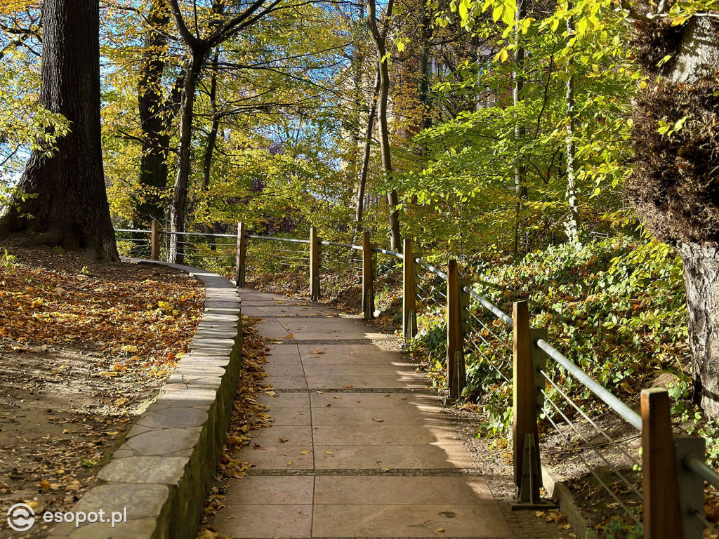 Romantyczny park i niezwykła historia – co skrywa Potok Elizy? [FOTO]