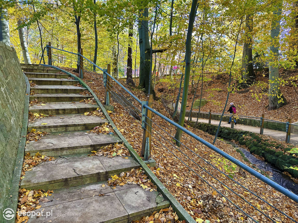 Romantyczny park i niezwykła historia – co skrywa Potok Elizy? [FOTO]