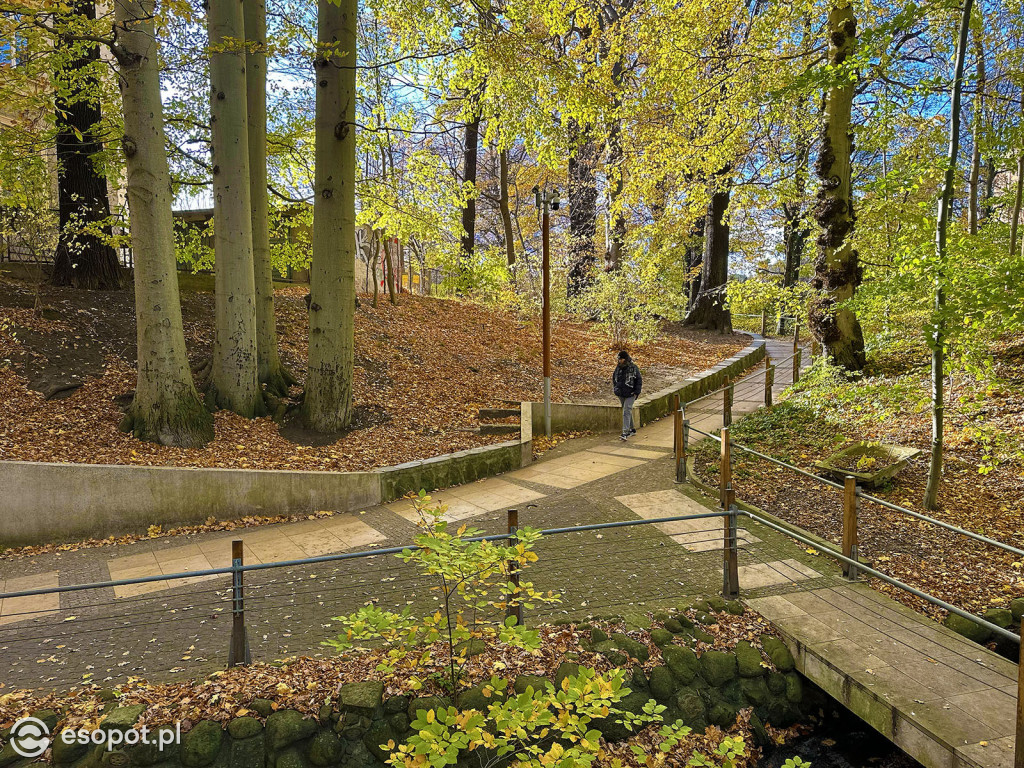 Romantyczny park i niezwykła historia – co skrywa Potok Elizy? [FOTO]