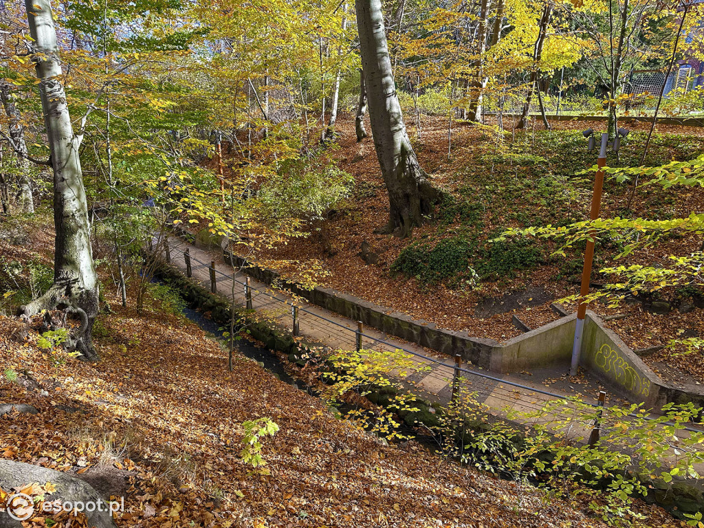 Romantyczny park i niezwykła historia – co skrywa Potok Elizy? [FOTO]