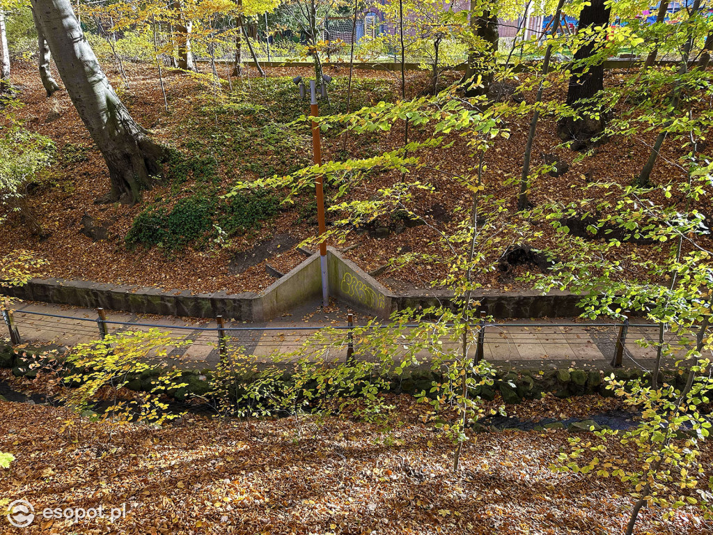 Romantyczny park i niezwykła historia – co skrywa Potok Elizy? [FOTO]