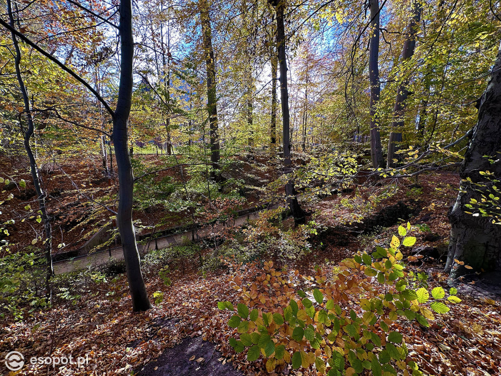 Romantyczny park i niezwykła historia – co skrywa Potok Elizy? [FOTO]