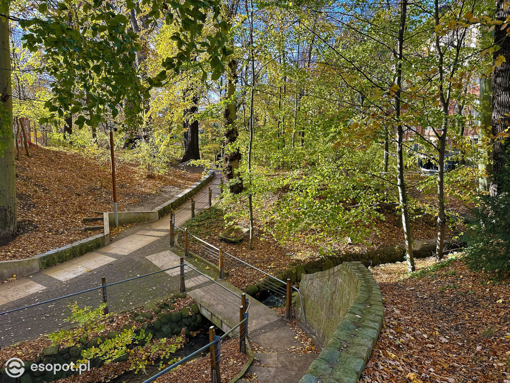 Romantyczny park i niezwykła historia – co skrywa Potok Elizy? [FOTO]