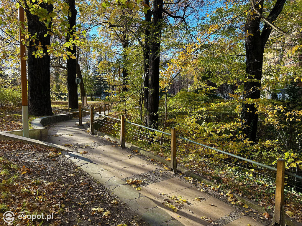 Romantyczny park i niezwykła historia – co skrywa Potok Elizy? [FOTO]