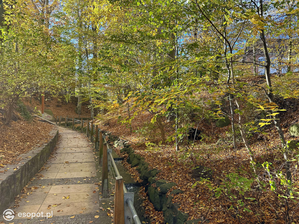 Romantyczny park i niezwykła historia – co skrywa Potok Elizy? [FOTO]