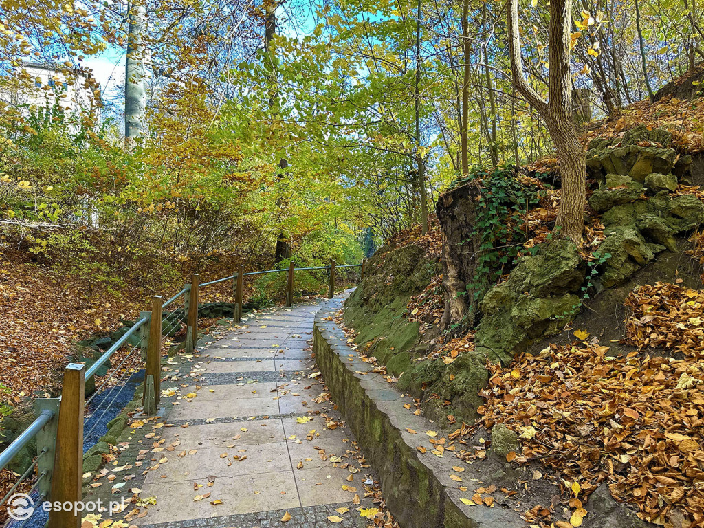 Romantyczny park i niezwykła historia – co skrywa Potok Elizy? [FOTO]