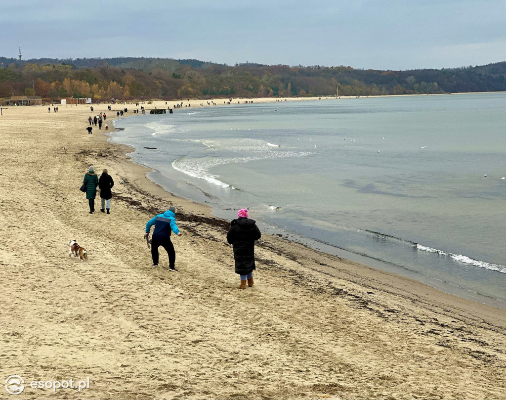 Sopot powoli żegna się ze złotą jesienią! Zobaczcie kurort na zdjęciach [FOTO]